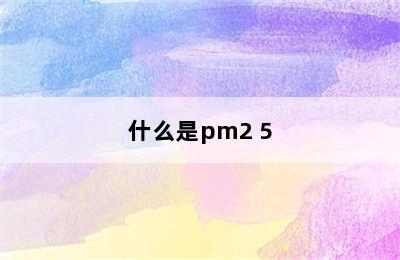什么是pm2 5